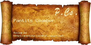 Pantits Csombor névjegykártya